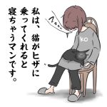 猫の魔法