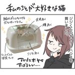 私のことが大好きな猫