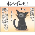 ねこげんき！