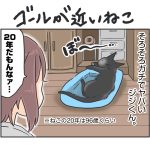 ゴールが近いねこ